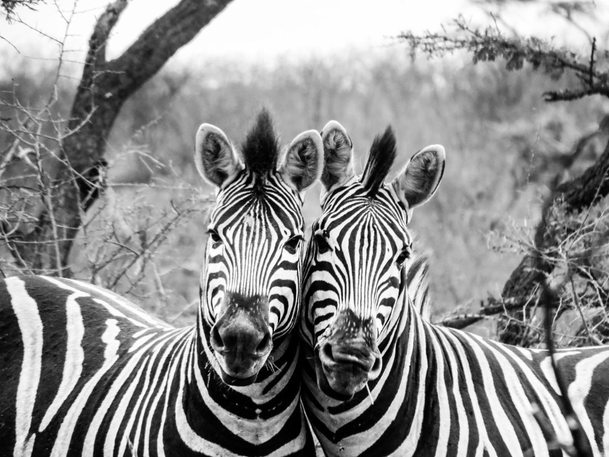 African Spirit Game Lodge Mkuze Eksteriør billede