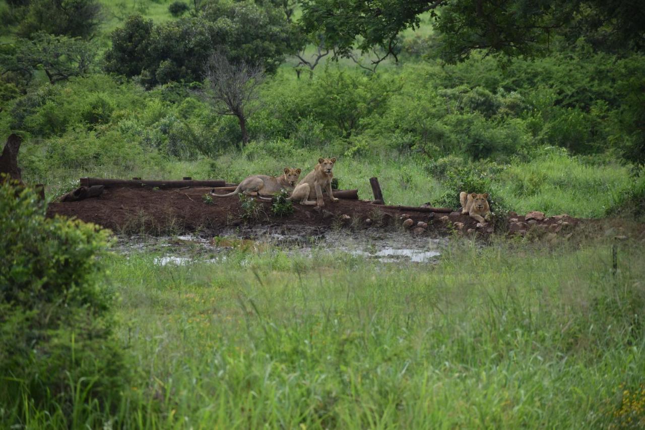 African Spirit Game Lodge Mkuze Eksteriør billede